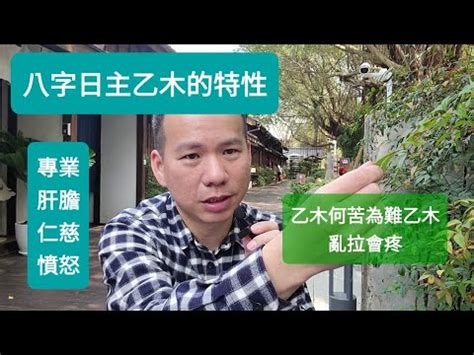 乙木男工作|乙木命的男人适合什么职业？